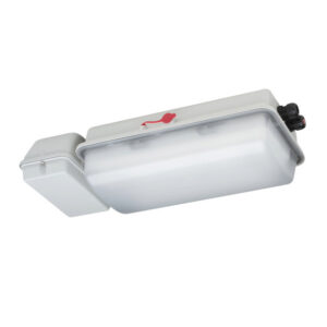 Emergencia LED ATEX e856