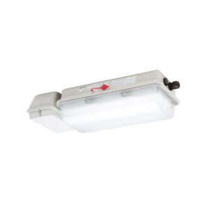 Emergencia LED ATEX e856